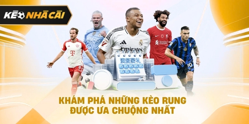 Xét trên thực tế, khám phá những kèo rung được ưa chuộng nhất đáng chú ý